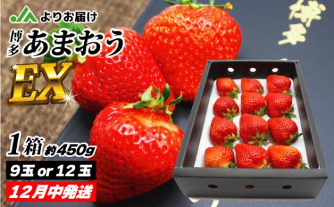 12月発送！「博多あまおう」EX　贈答用化粧箱　約450g 1箱【ほたるの里】_KA0754