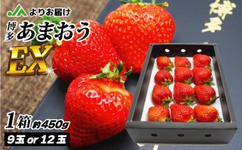 1月より順次発送！「博多あまおう」EX　贈答用化粧箱　約450g 1箱【ほたるの里】_KA0752