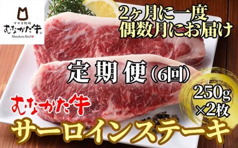 【偶数月にお届け】むなかた牛サーロインステーキ 500g（250g×2枚）定期便【すすき牧場】_KB0121