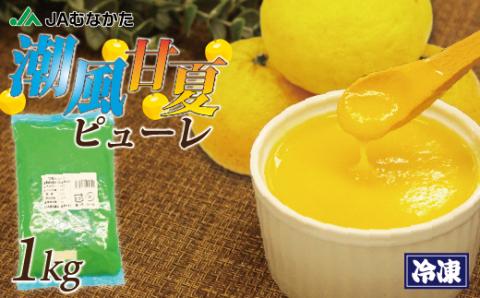 潮風甘夏ピューレ1kg(冷凍)【ほたるの里】_KA1031