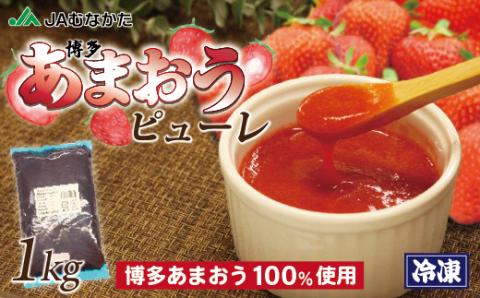 冷凍「博多あまおうピューレ」1kg【JAほたるの里】_KA1044