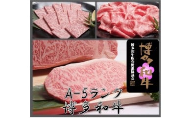【A5ランク】博多和牛三昧セット(サーロインステーキ/しゃぶしゃぶ・すき焼き/焼肉)【伊豆丸商店】_KA0182