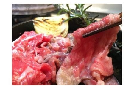 お米で育てたむなかた牛 切り落とし500g （牧場直送）【すすき牧場】_KA0152