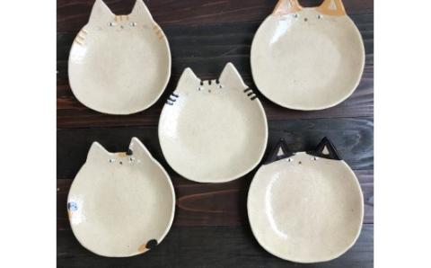 ネコザラ 大皿5枚セット!【716】_KA0405