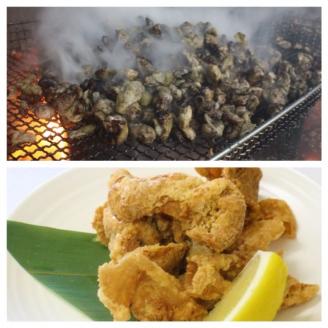 むなかた鶏加工品2点セット（とり皮チップス・やわらか炭火焼）【道の駅むなかた】_KA0772