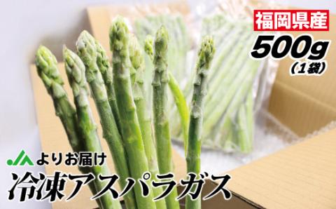 【ＪＡよりお届け】冷凍アスパラガス500g【JAほたるの里】_KA0840