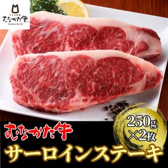 むなかた牛サーロインステーキ 500g（250g×2枚）【すすき牧場】_KA1263
