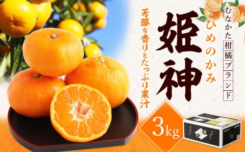 旬のミカンをお届け！JAむなかた柑橘ブランド「姫の神」3kg 甘くておいしいみかん【2024年1月～4月上旬発送】【ほたるの里】_KA0281