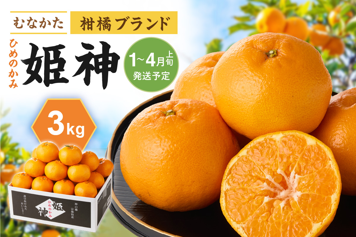 旬のミカンをお届け！JAむなかた柑橘ブランド「姫神」3kg 甘くておいしいみかん【2026年1月～4月上旬発送】【ほたるの里】_HA0281
