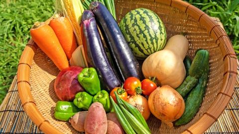 【一週間以内に発送】宗像とれたて　野菜・たまごセット【オアシス】_HA0778