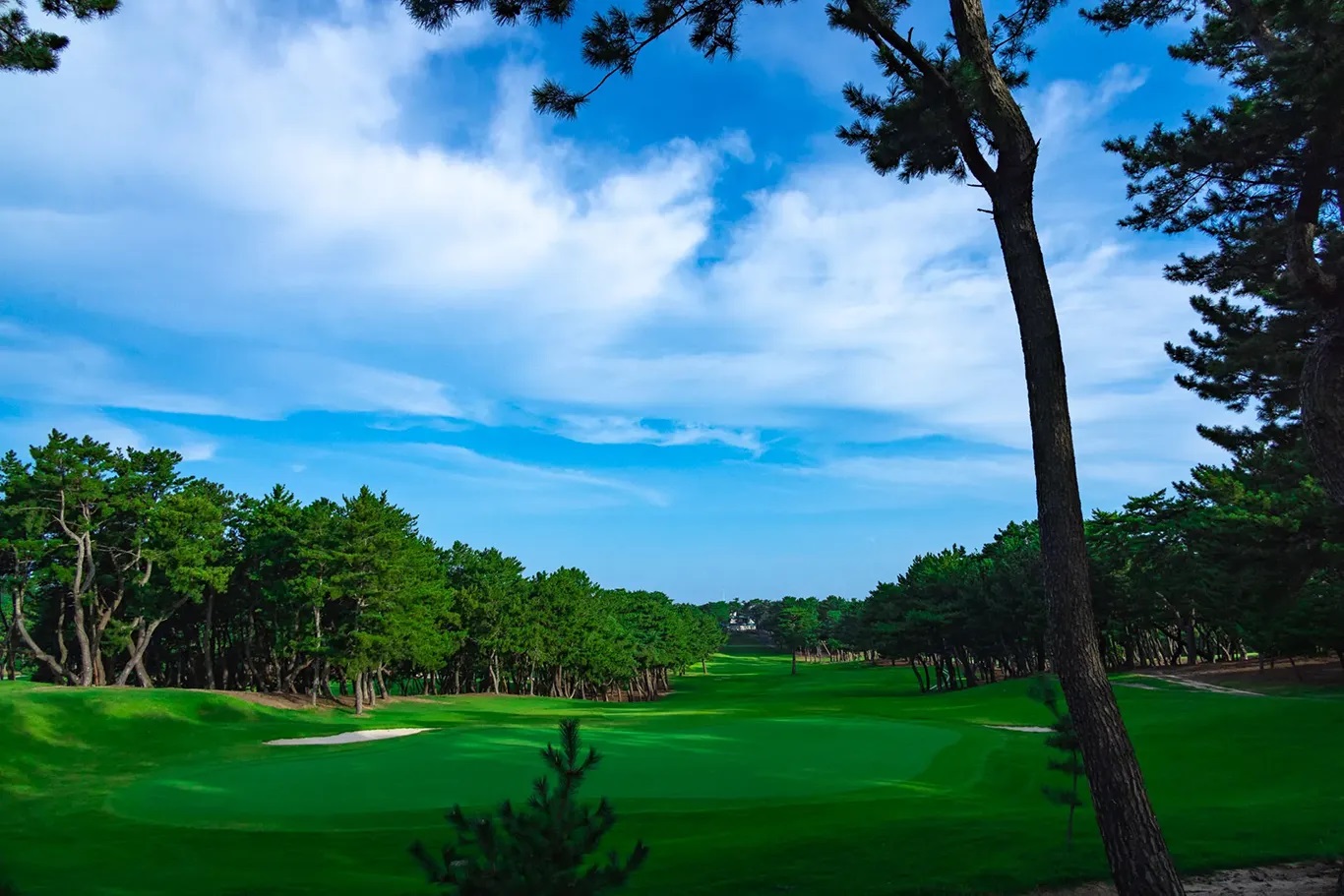 玄海ゴルフクラブ割引券（3,000円分×1枚）【玄海ゴルフクラブ】_HA0868