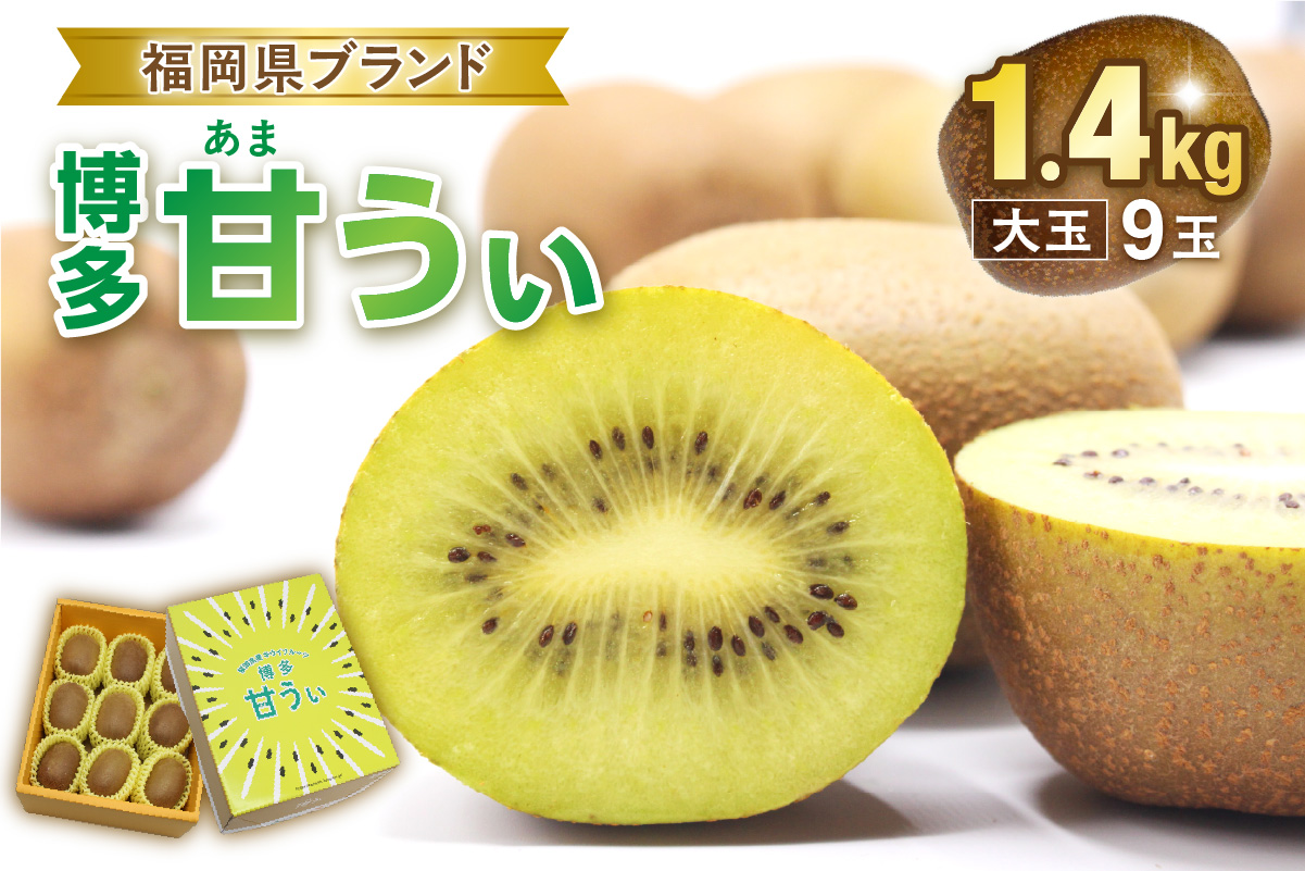 【2026年収穫分 先行予約!】〈ギフト〉福岡県ブランド！キウイフルーツ「博多甘うぃ」約1.4kg化粧箱入り【ほたるの里】_HA0943