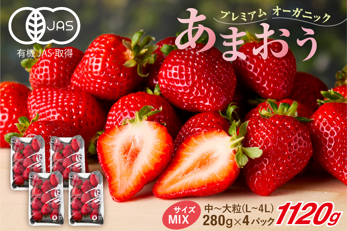 オーガニックあまおう 「いせいちご」 おまかせ4パック（MIX）【伊世いちご畑】_HA1018