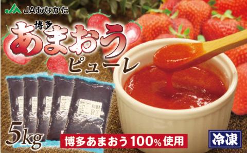 冷凍「博多あまおうピューレ」1kg×5袋【JAほたるの里】_HA1046