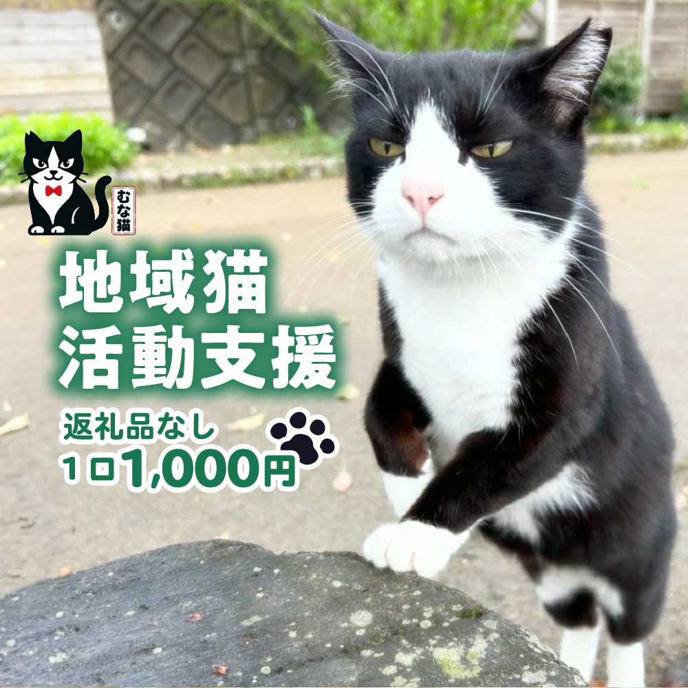 【返礼品なし】「「むな猫（旧：てくてくさくらねこ）」　地域猫活動支援【むな猫】_HA1118