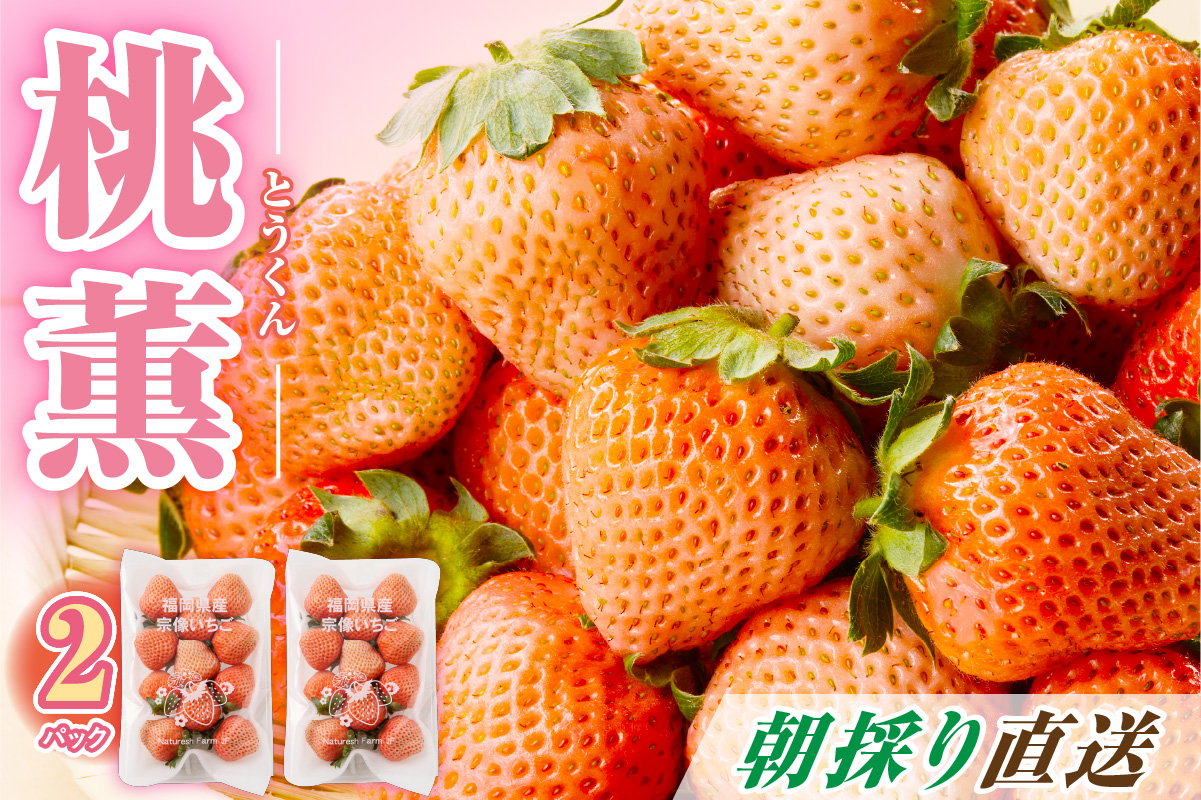 【先行予約】【2025年12月中旬より順次発送】福岡県産　桃薫　2パックセット【ナチュレッシュ・ファーム・ジェイピー】_HA1338