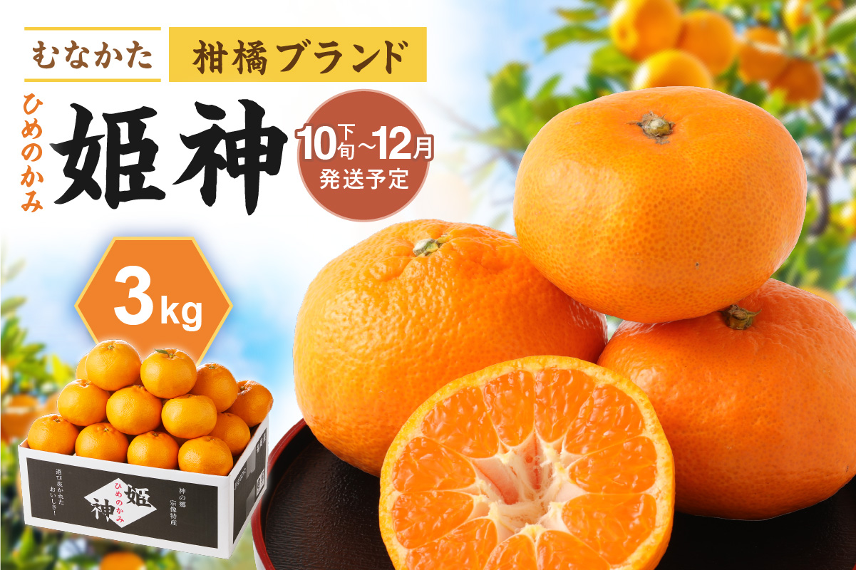 JAむなかたブランド「姫神」3kg 【2025年10月下旬～12月発送】【JAほたるの里】_HA1346