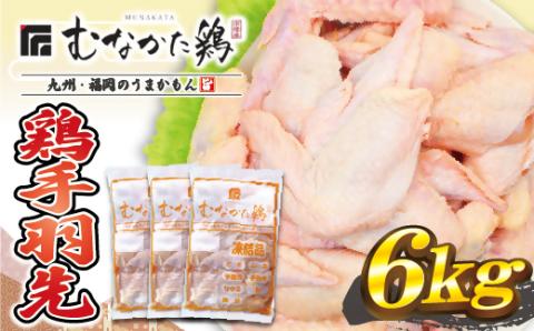 手羽先 6kg （平飼い） 宗像産 ブランド鶏＜むなかた鶏＞ 【JAほたるの里】_HA1421