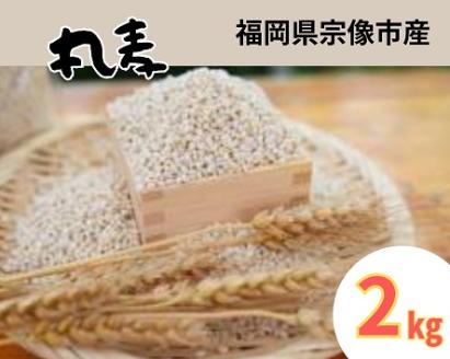 ミネラル豊富な丸麦 2kg【アグリCATS】_HA1443