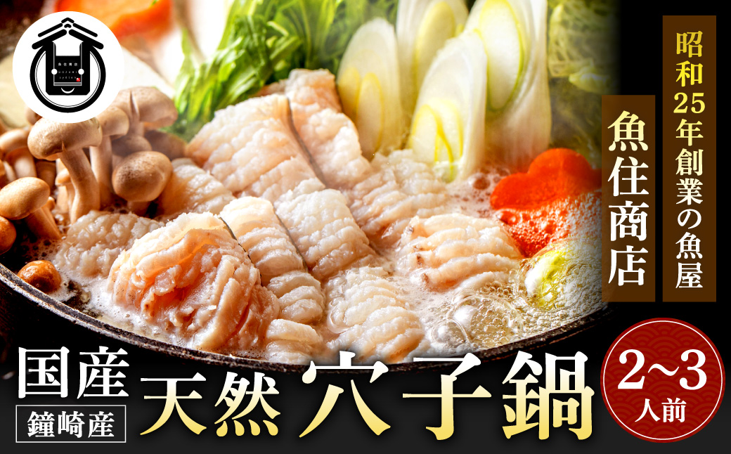 鐘崎産天然穴子鍋セット(2〜3人前)【魚住商店】_HA1488