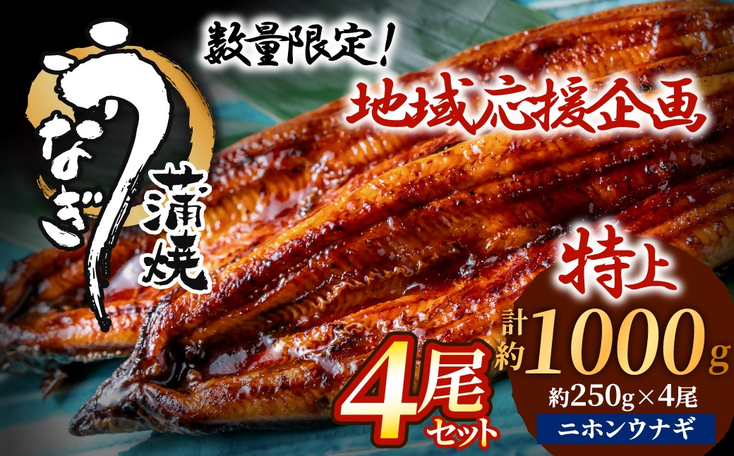 うなぎ蒲焼き4尾セット(約250g×4尾セット)【魚住商店】_HA1494
