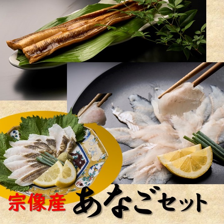 あなごセット（あなご炙り刺し、あなご刺身、煮あなご）【宗像漁協】_HA1518