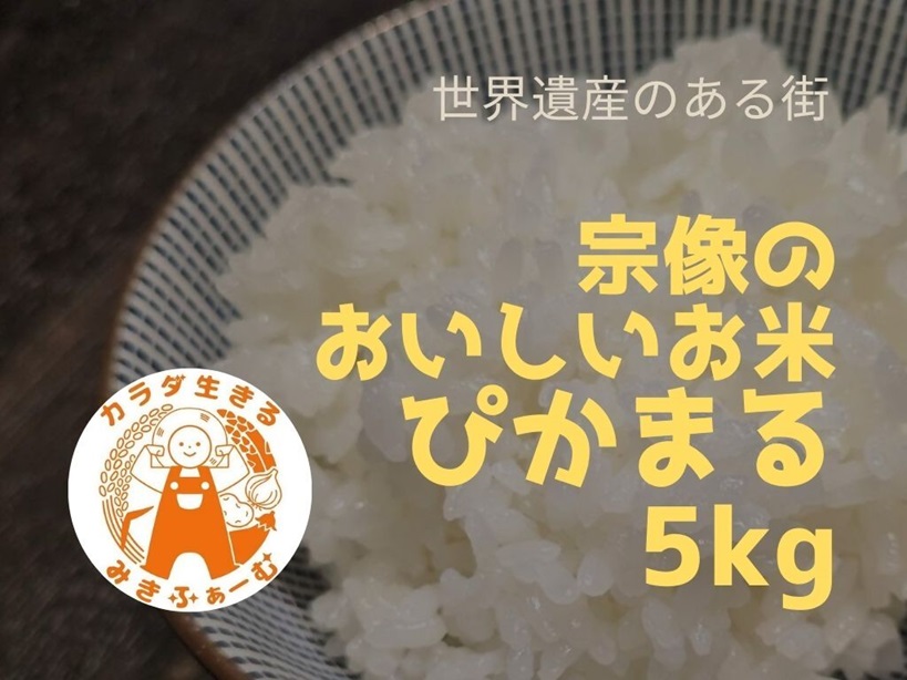 令和7年産新米 予約受付！むなかた産 米 ぴかまる 5kg【みきふぁーむ】_HA1543