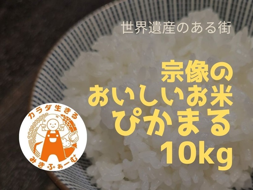 令和7年産 むなかた産 米 ぴかまる 10kg【みきふぁーむ】_HA1544