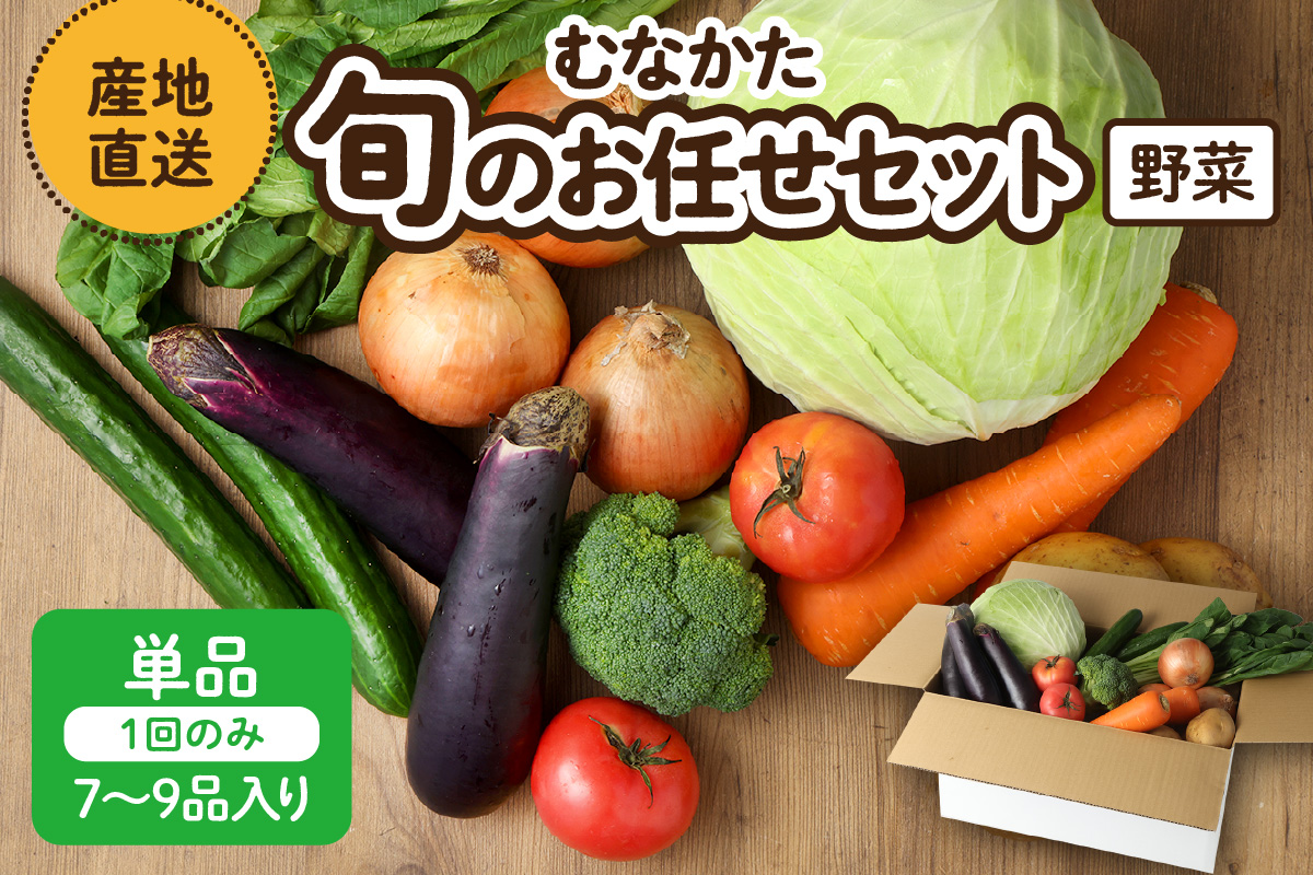 むなかた旬のお任せセット(野菜) 7～9品【JAほたるの里】_HA1569