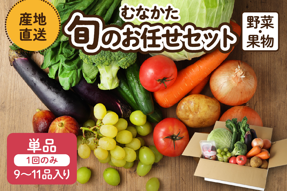 むなかた旬のお任せ セット(野菜・フルーツ)9～11品【JAほたるの里】_HA1570