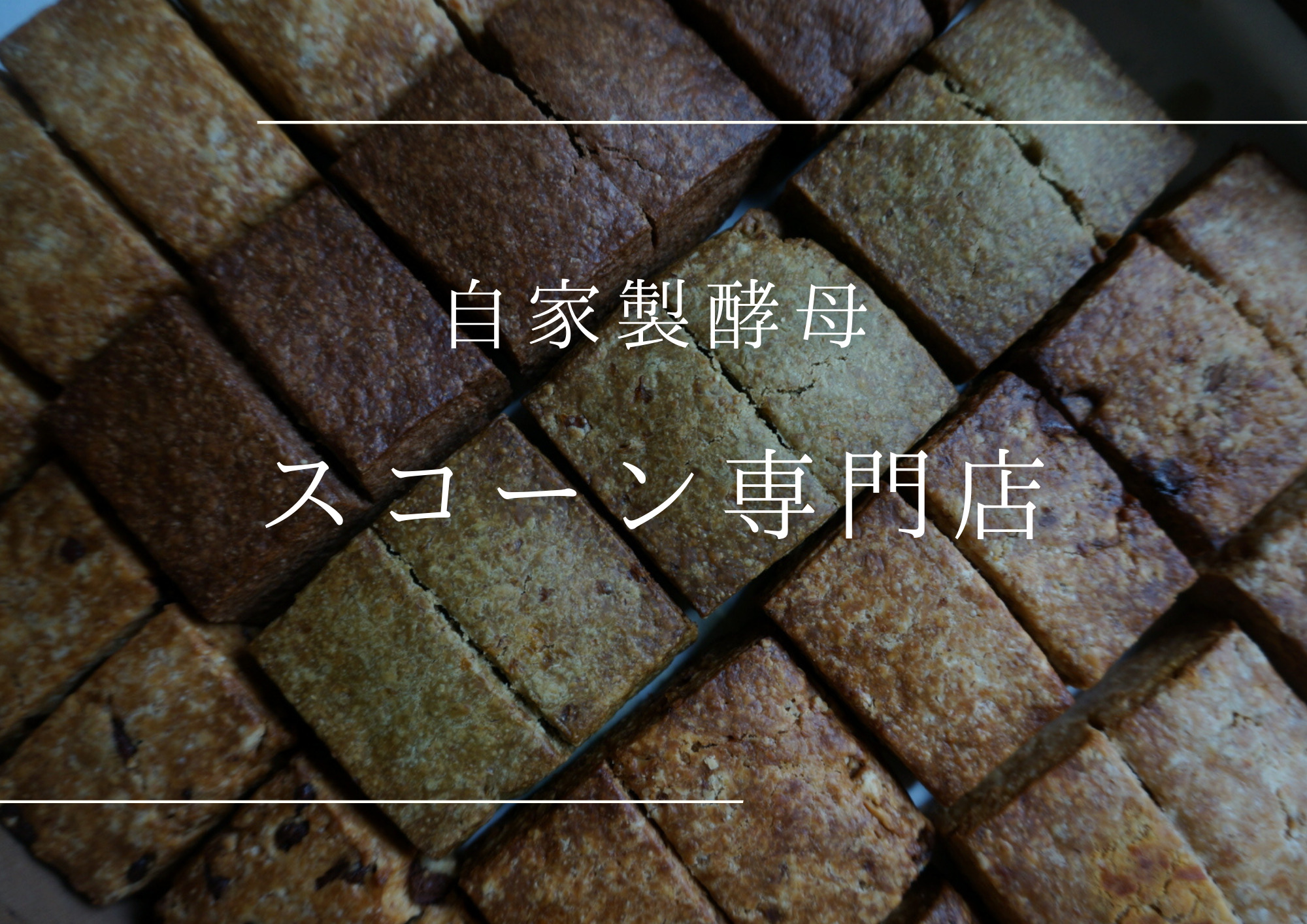 プラリネバターサンドと自家製酵母スコーン【たねのおやつ】_HA1674