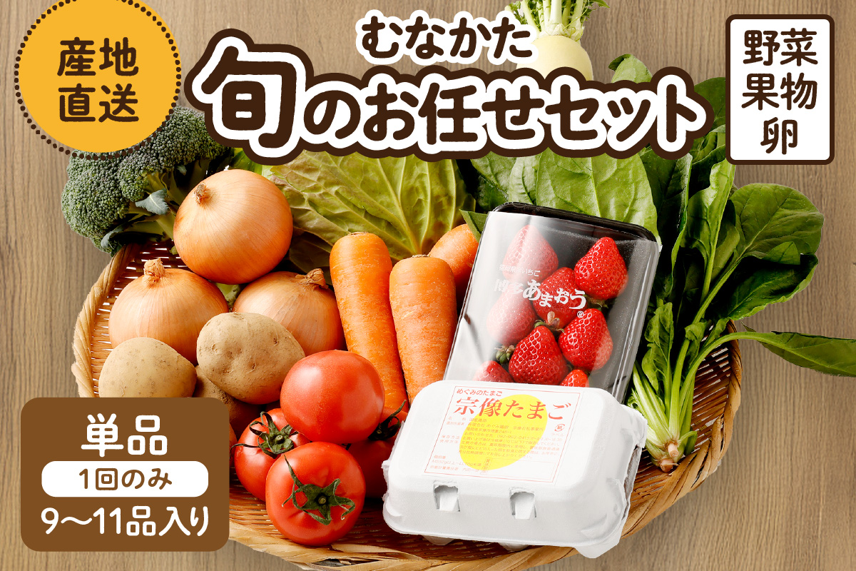 むなかた旬のお任せセット（野菜・フルーツ・卵） 9～11品【JAほたるの里】_HA1712