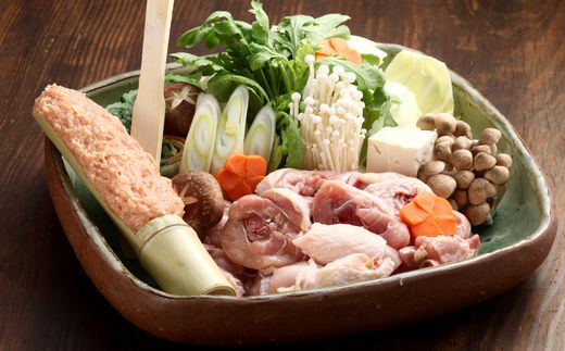 博多若杉水炊きセット（4～5人前）【株式会社Skyward】_HA1775