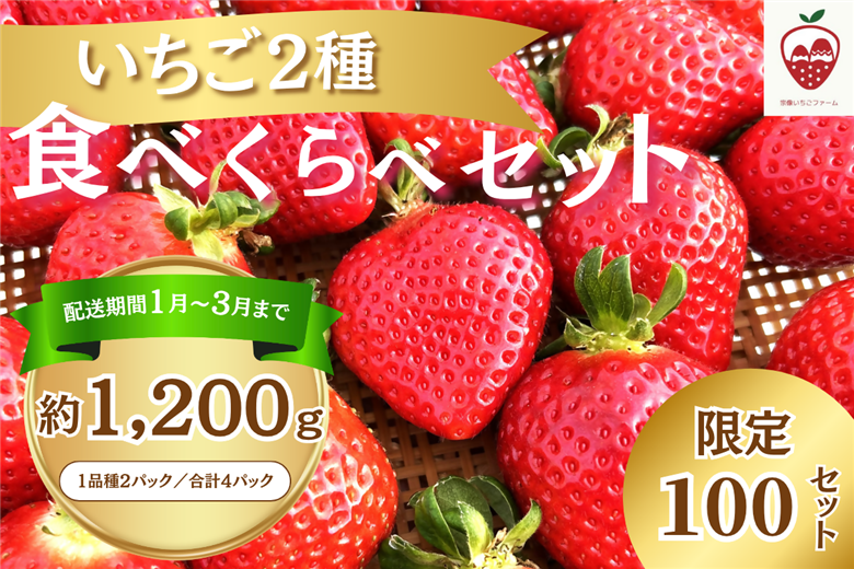 何が届くかお楽しみ！人気のいちご2品種食べ比べセット【宗像いちごファーム】_HA1785