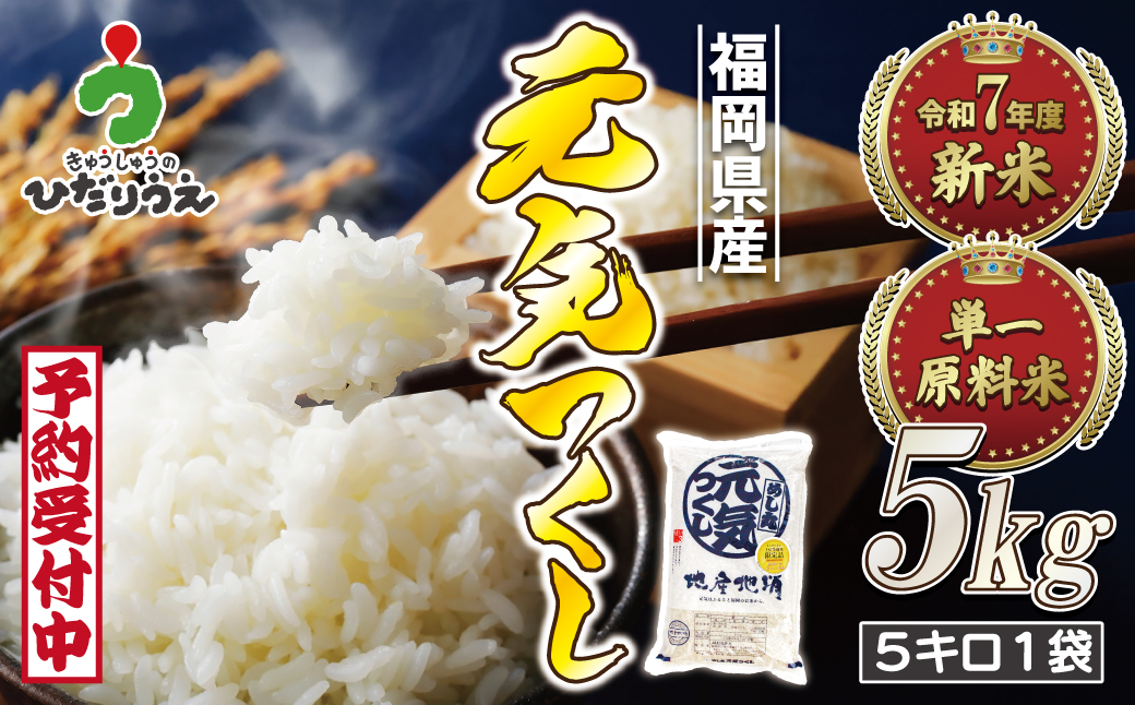 令和7年産 新米先行予約！JAよりお届け！福岡県ブランド米「元気つくし」5kg【ほたるの里】_HA1788