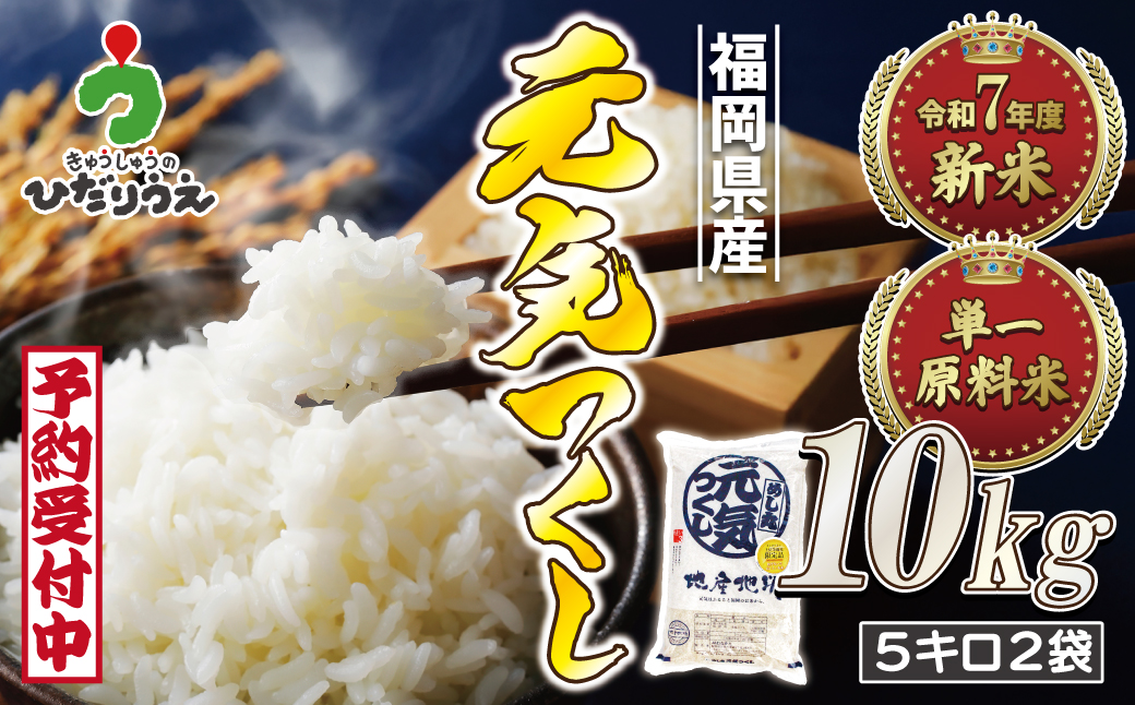 令和7年産 新米先行予約！JAよりお届け！福岡県ブランド米「元気つくし」10kg【ほたるの里】_HA1789