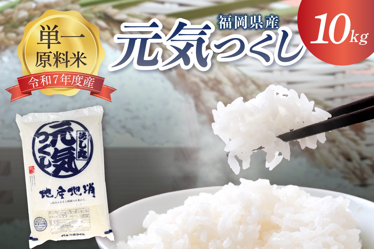 令和7年産 JAよりお届け！福岡県ブランド米「元気つくし」10kg【ほたるの里】_HA1789