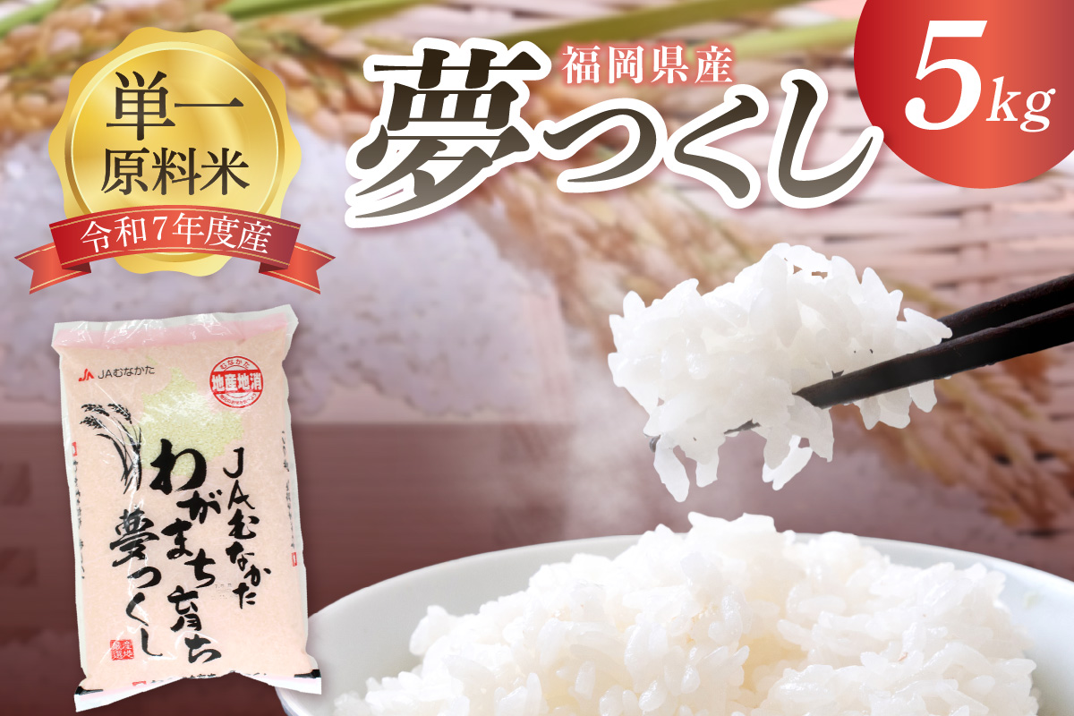 福岡県ブランド米「夢つくし」5kg【ほたるの里】_HA1790