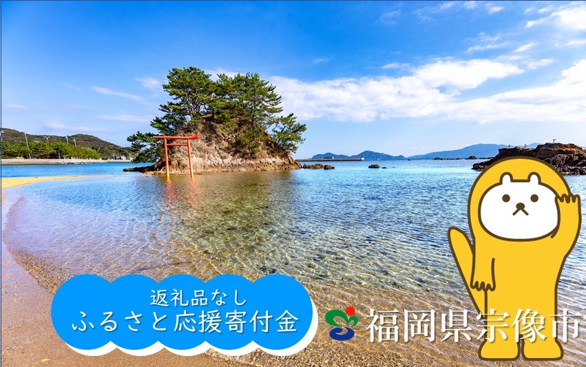 【返礼品なし】宗像市ふるさと応援寄附 500,000円_HA1801 500,000円