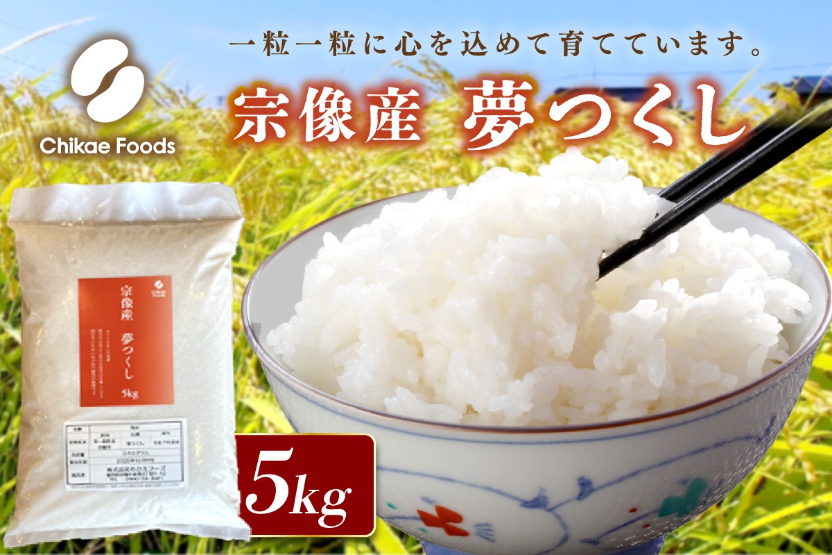 宗像産 夢つくし 5kg【ちかえフーズ】_HA1807