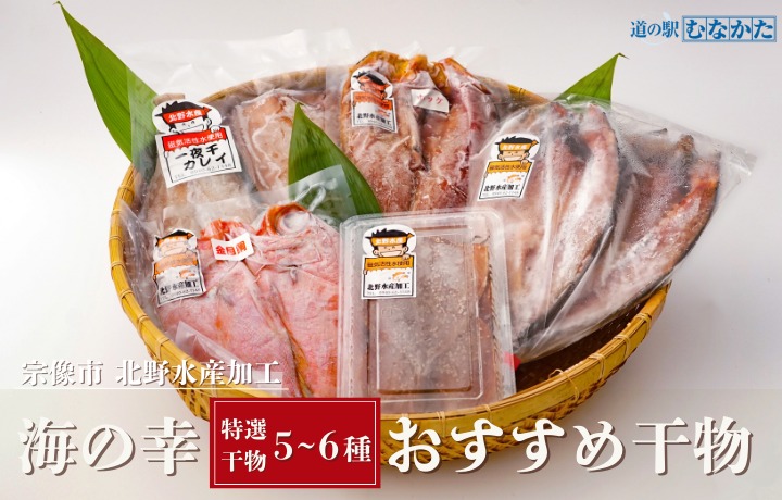 【道の駅むなかた】北野水産加工おすすめ 干物詰合せ_HA1819