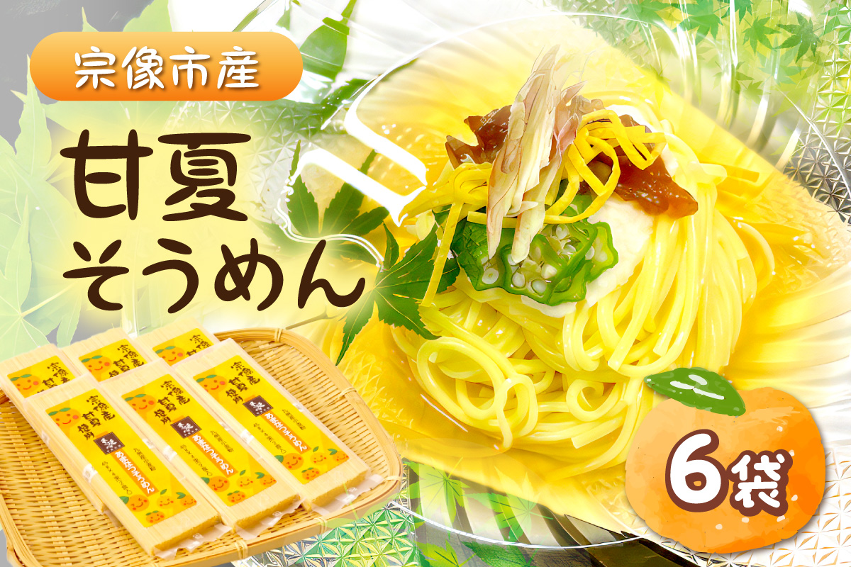 【道の駅むなかた】宗像市産甘夏そうめん 6袋セット_HA1826