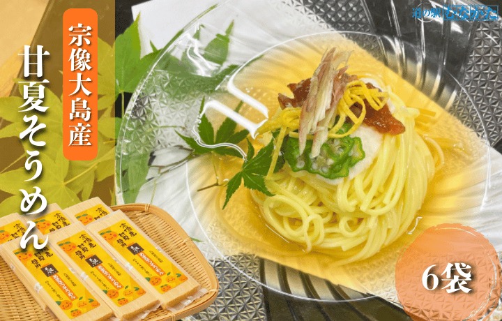 【道の駅むなかた】宗像大島産甘夏そうめん 6袋セット_HA1826