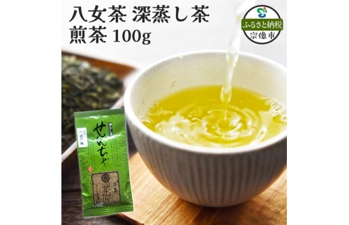 八女茶 深蒸し茶煎茶 100g【株式会社JSE】_HA1866