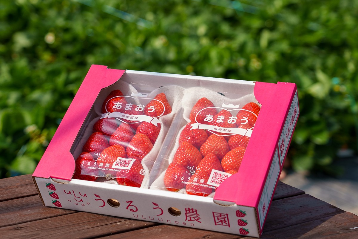 特別栽培あまおうDX4パック【うるう農園】_HA1966