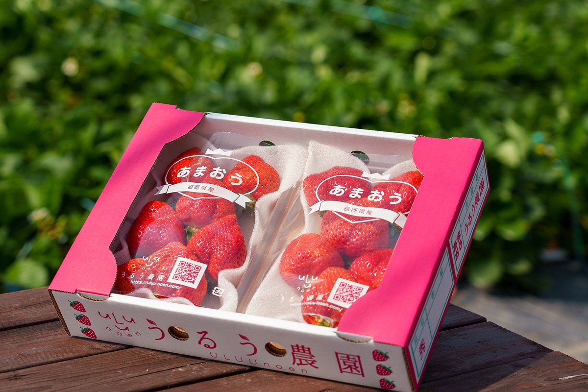 特別栽培あまおう4パック(サイズミックス)【うるう農園】_HA1968