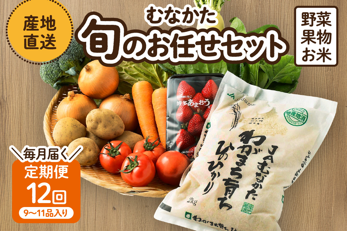 【定期便／年12回／毎月お届け】むなかた旬のお任せセット(野菜・フルーツ・お米／9～11品)【ほたるの里】_HB0029