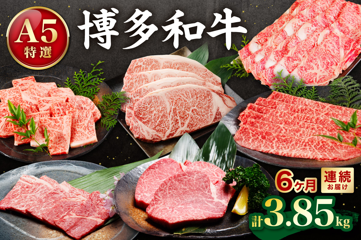 【定期便／年6回／毎月お届け】A5特選博多和牛　こだわりの6回お楽しみコース（サーロインステーキ・ヒレステーキ/しゃぶしゃぶ・すき焼き/焼肉）【伊豆丸商店】_HB0036