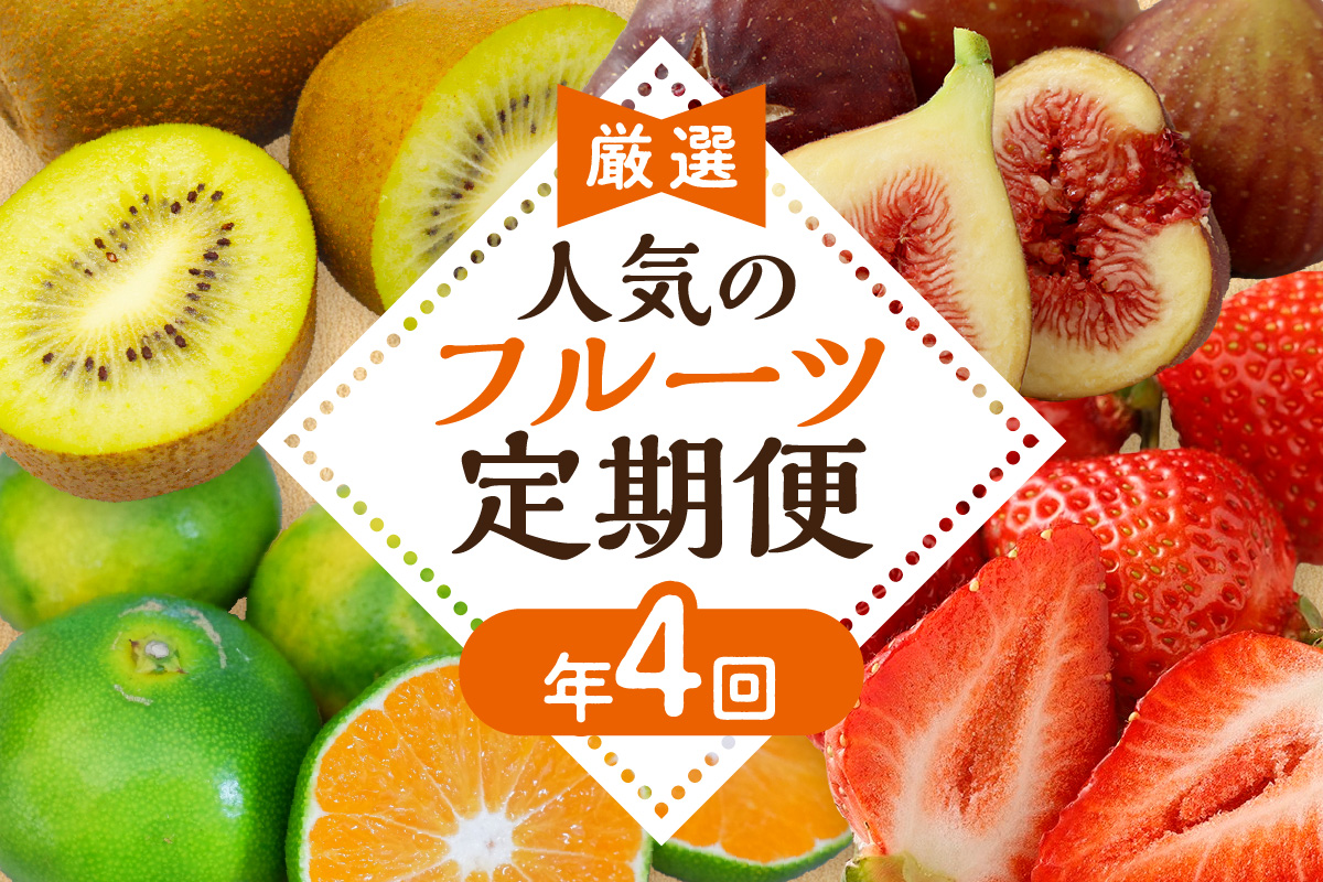 【定期便/年４回】旬の福岡フルーツ定期便【ほたるの里】_HB0087