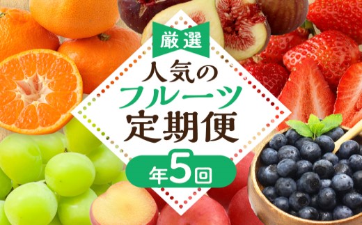 【定期便/年5回】JAむなかた厳選！人気フルーツ定期便【JAむなかた ほたるの里】_HB0164